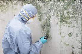 Best Emergency Mold Remediation  in Minonk, IL